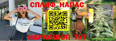 spice Гусев