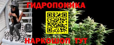 мяу мяу мука Гусиноозёрск