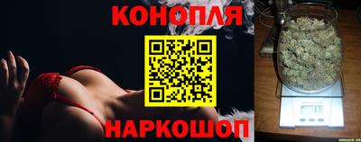 spice Гусев